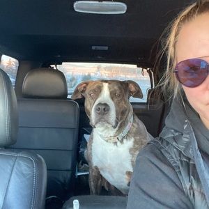 Meet your Posher, Andrea